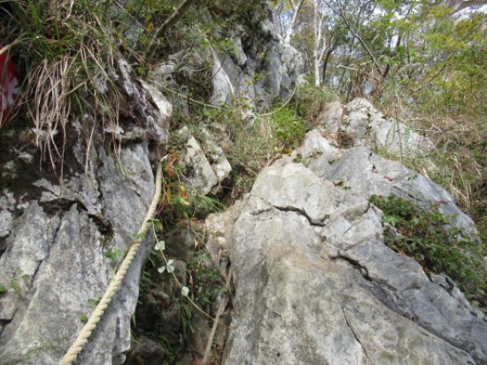 画像24